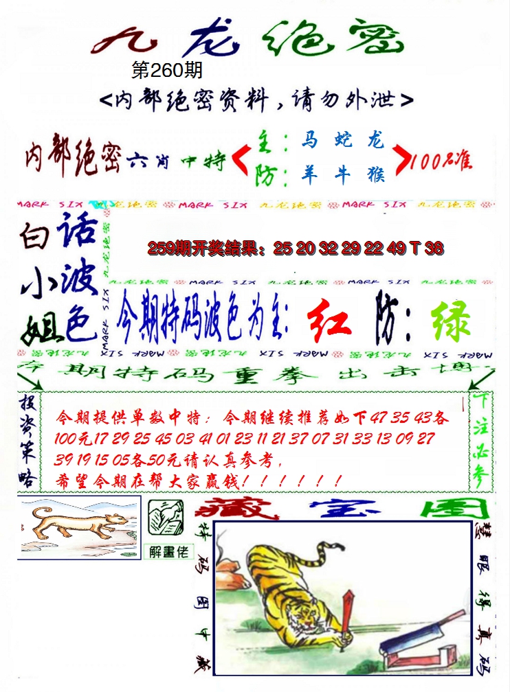 2024260期九龙密报