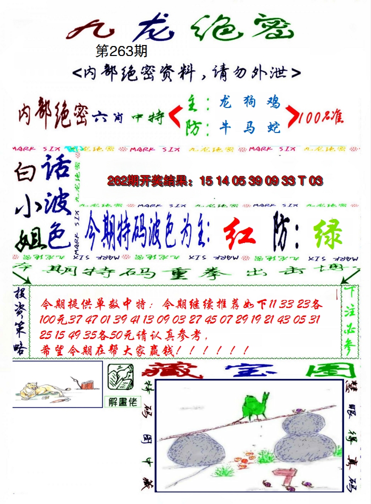 2024263期九龙密报