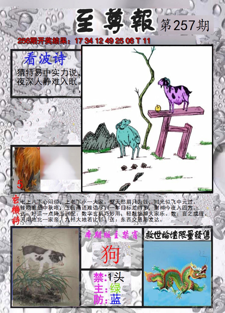 2024257期至尊报