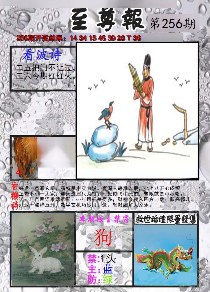 2024256期至尊报
