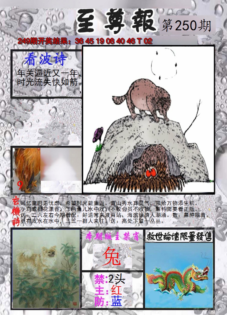 2024250期至尊报
