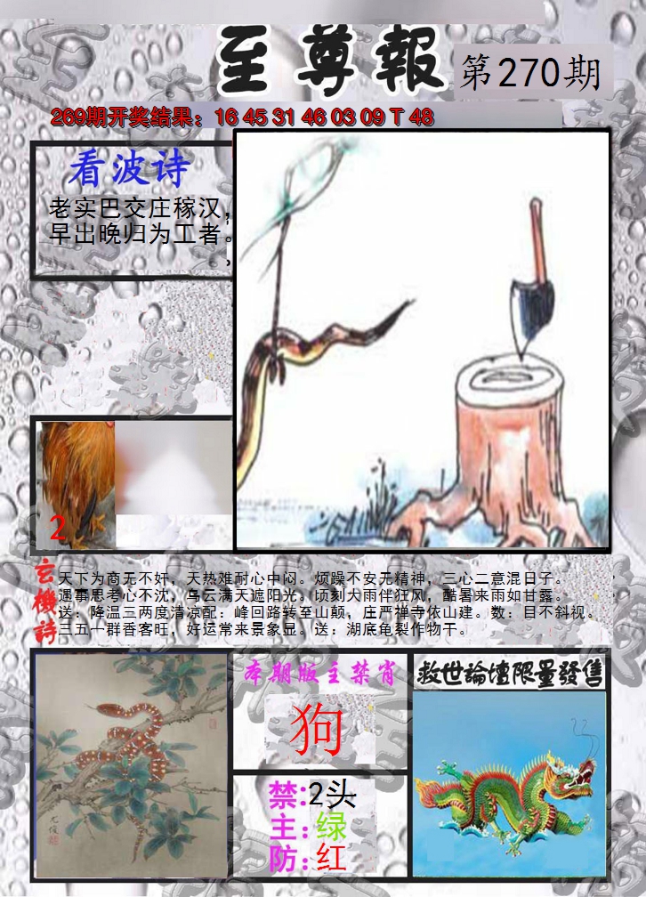 2024270期至尊报