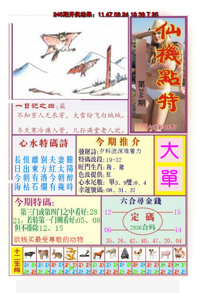 2024246期仙机点特