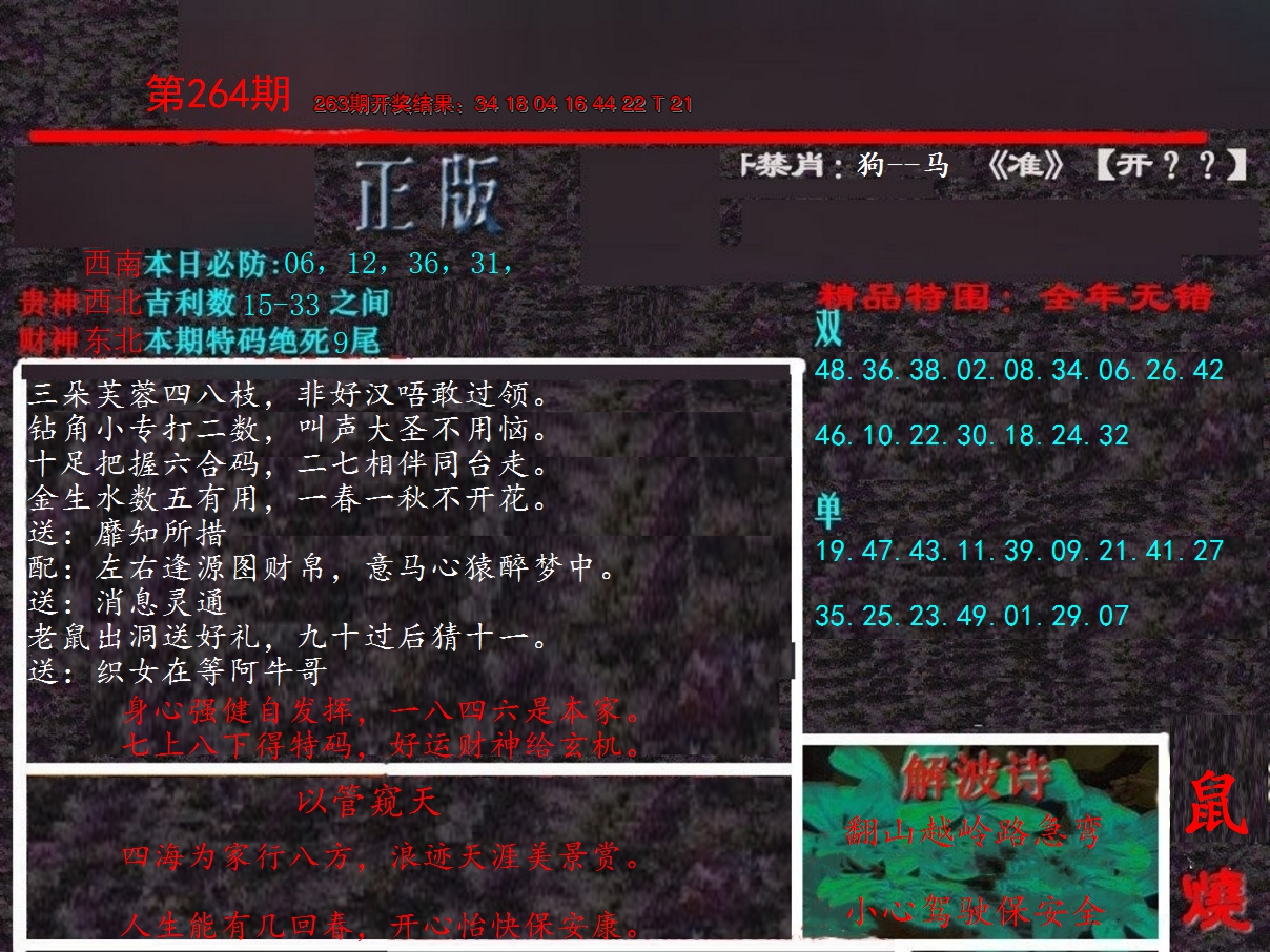 2024264期新港内幕