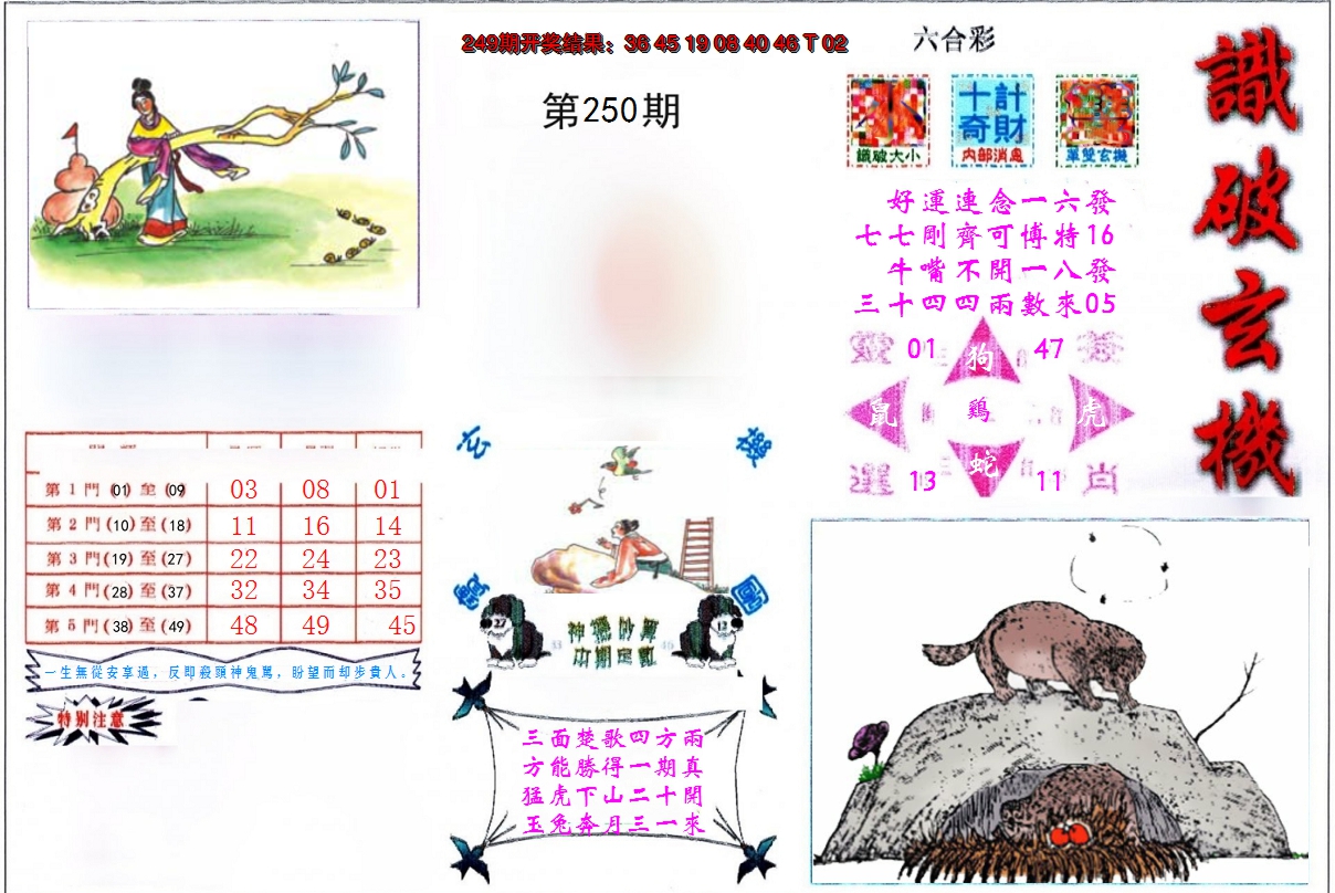 2024250期识破玄机