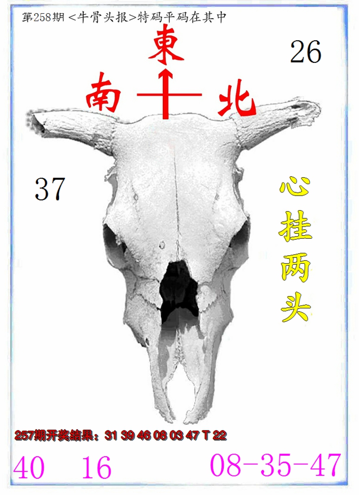 2024258期牛派系列7