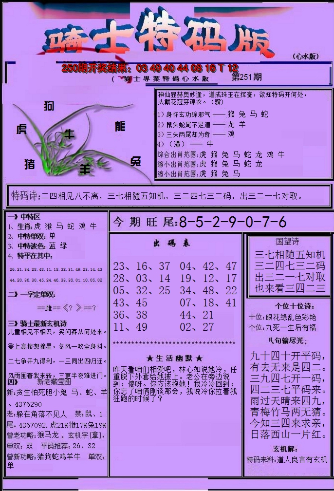 2024251期骑士特码版