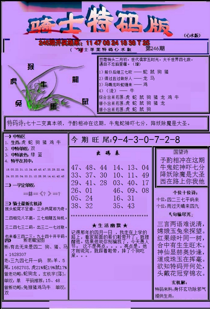 2024246期骑士特码版