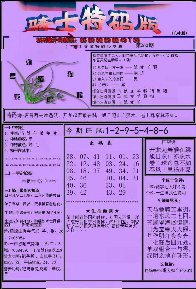 2024260期骑士特码版