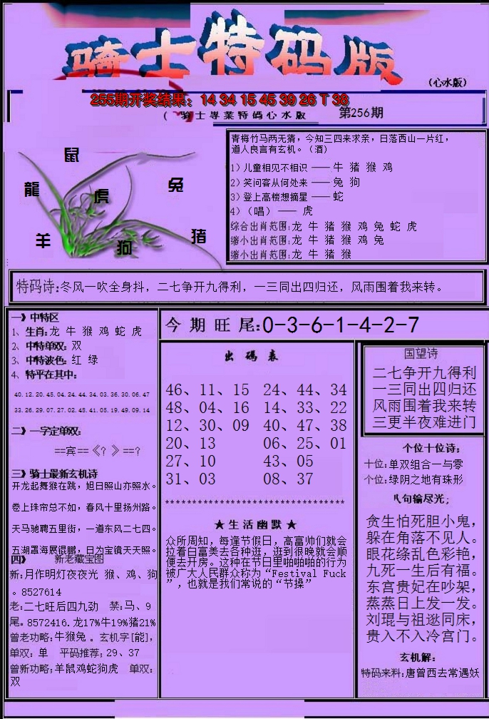 2024256期骑士特码版