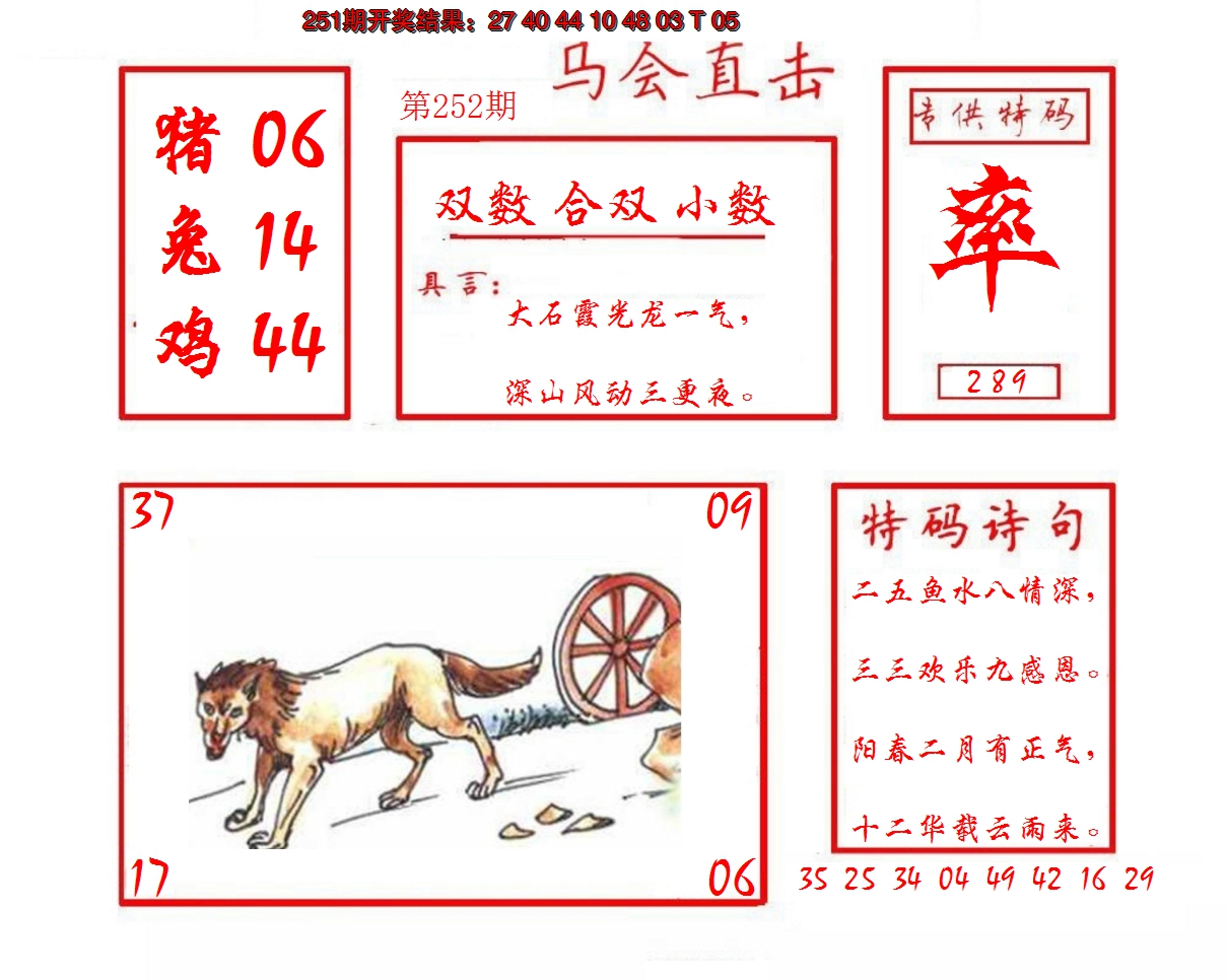 2024252期马会直击