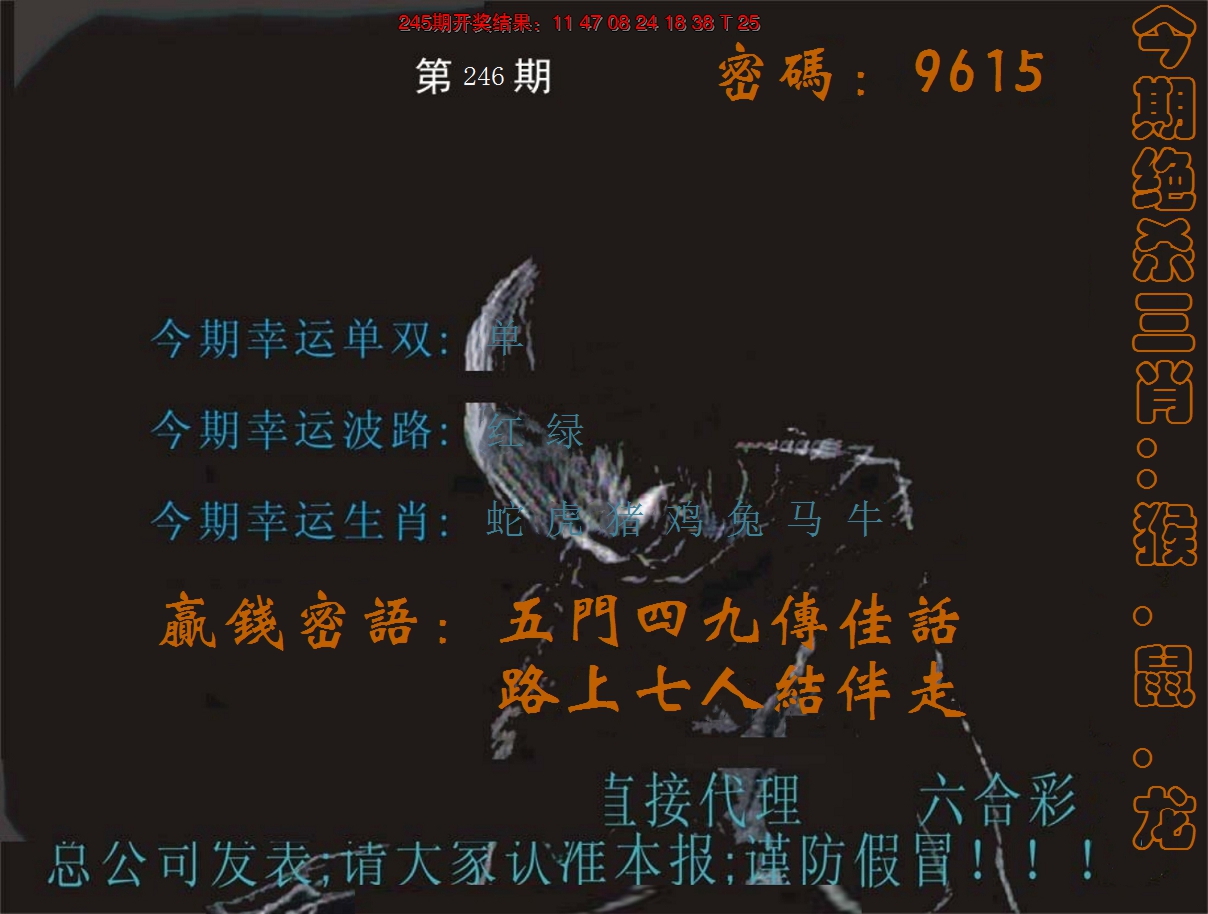 2024246期特码报