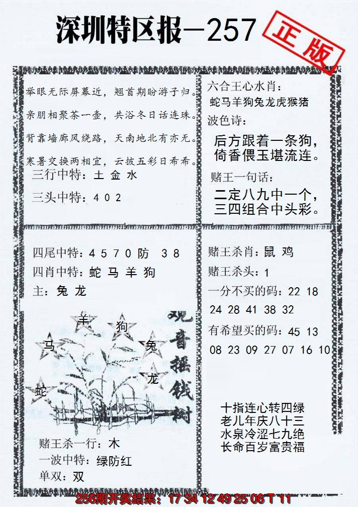 2024257期深圳特区报A