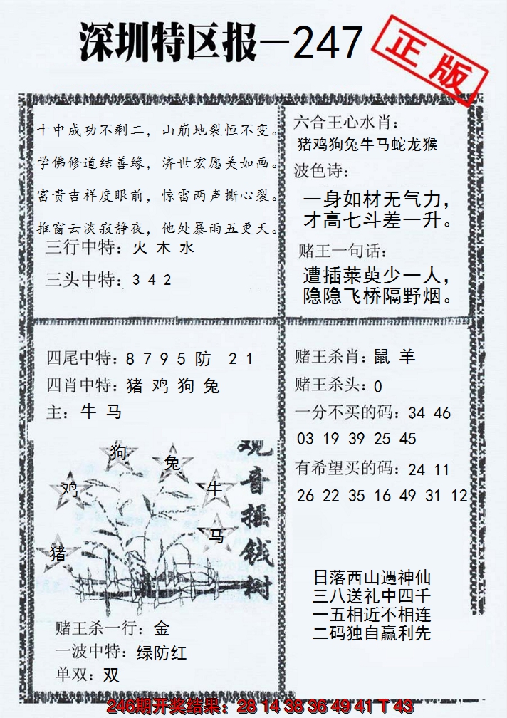2024247期深圳特区报A