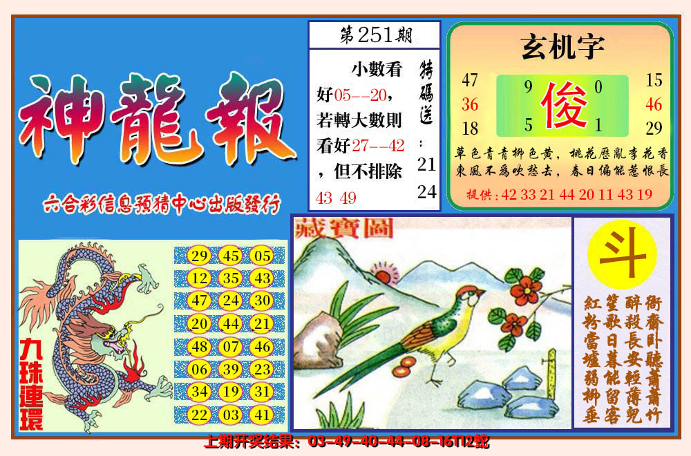2024251期神龙报