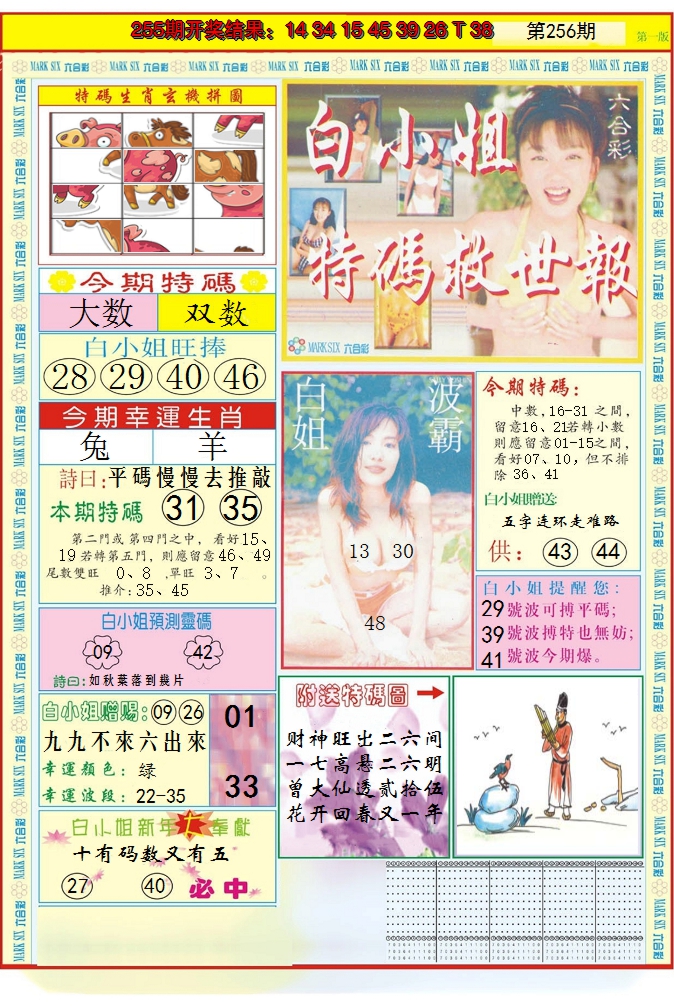 2024256期白小姐急旋风A