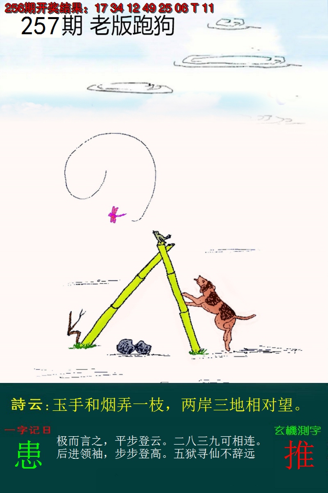 2024257期老版跑狗