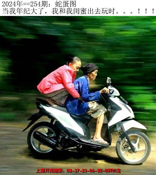 2024254期另版蛇蛋图