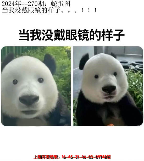 2024270期另版蛇蛋图