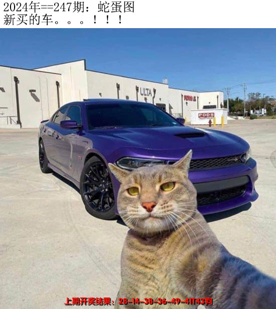 2024247期另版蛇蛋图