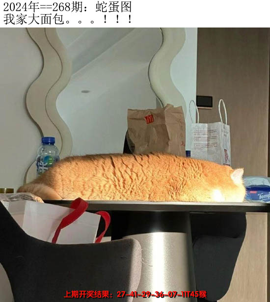 2024268期另版蛇蛋图