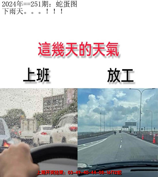 2024251期另版蛇蛋图