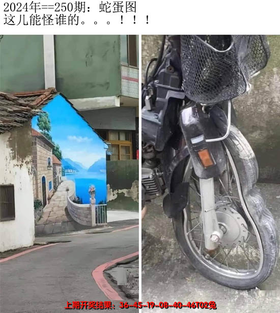 2024250期另版蛇蛋图