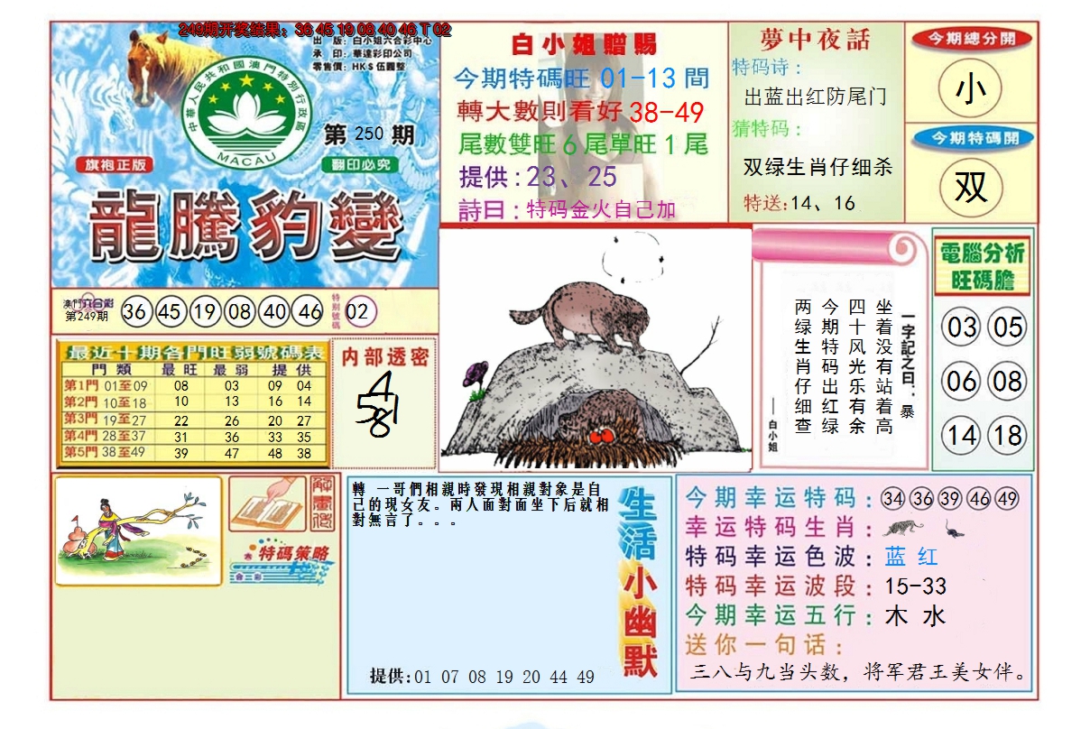 2024250期龙腾豹变