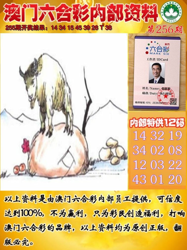 2024256期六合内部资料