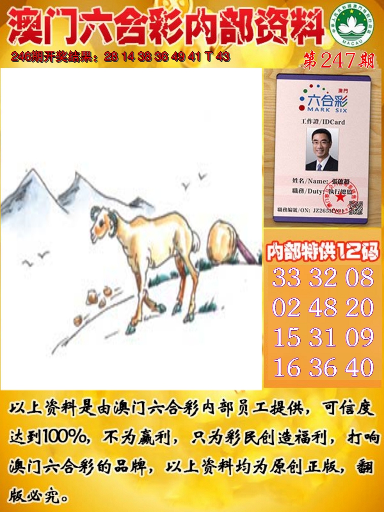 2024247期六合内部资料