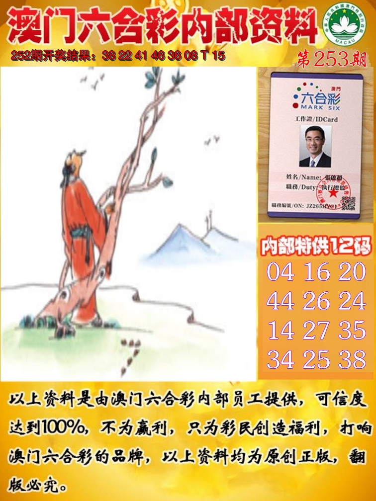 2024253期六合内部资料