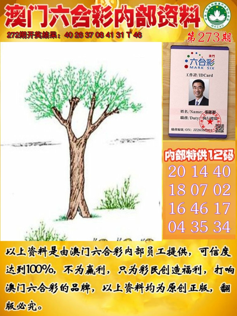 2024273期六合内部资料