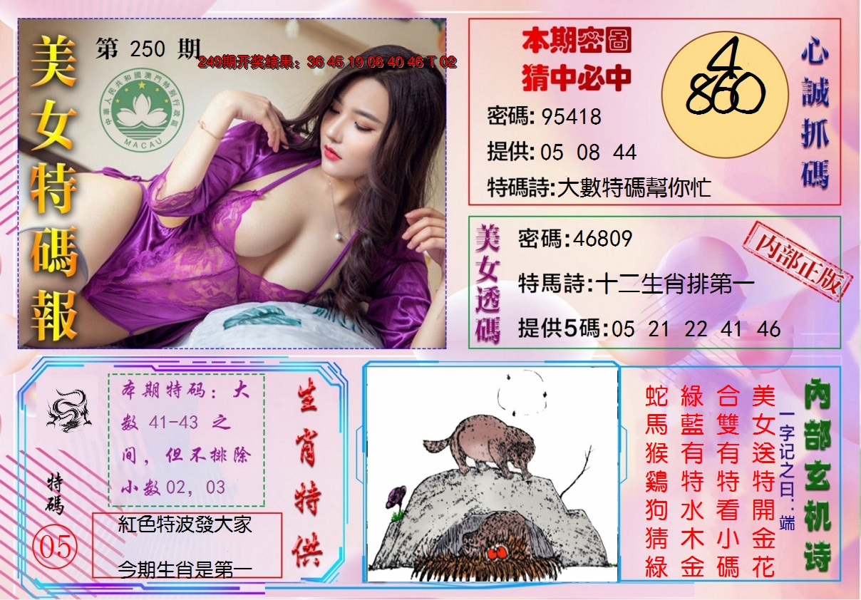 2024250期美女特码报