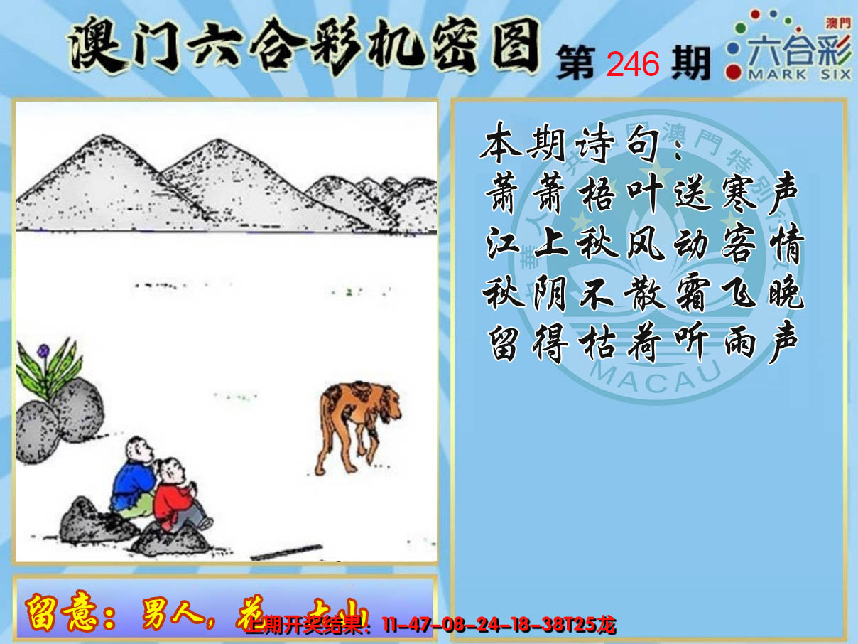 2024246期机密图