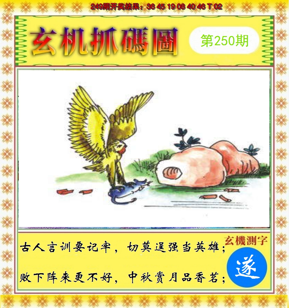 2024250期玄机抓码图