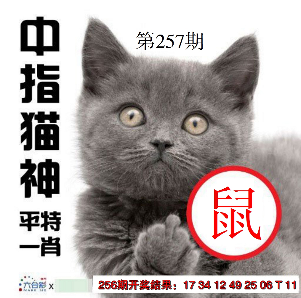 2024257期中指猫神