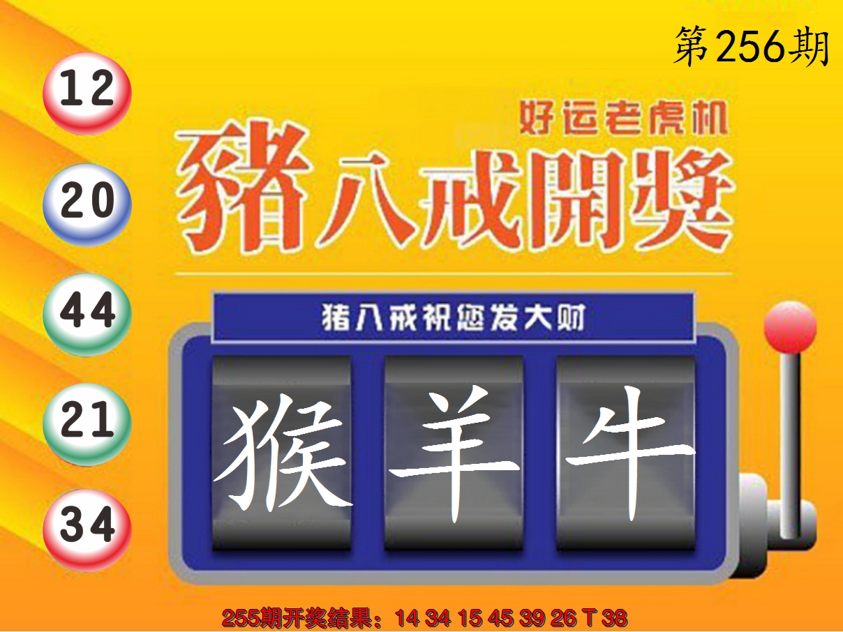 2024256期猪八戒开奖A