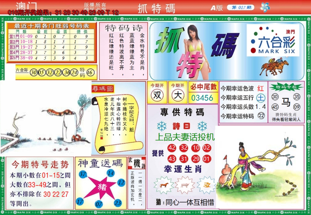 2025017期澳门抓特码A