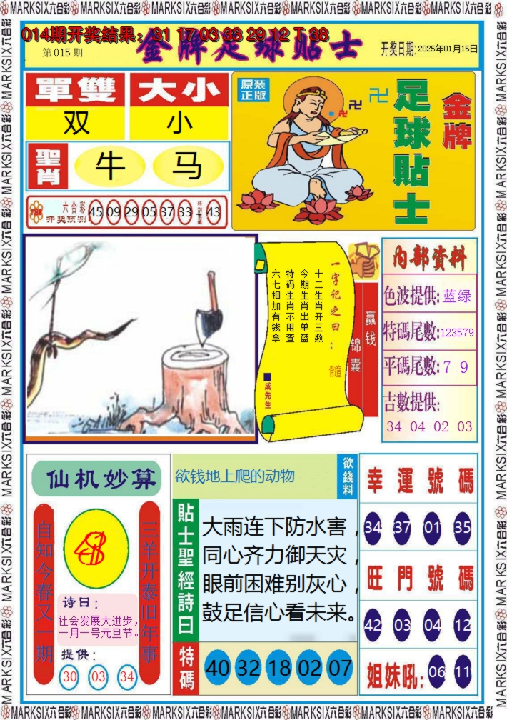 2025015期金牌足球贴士
