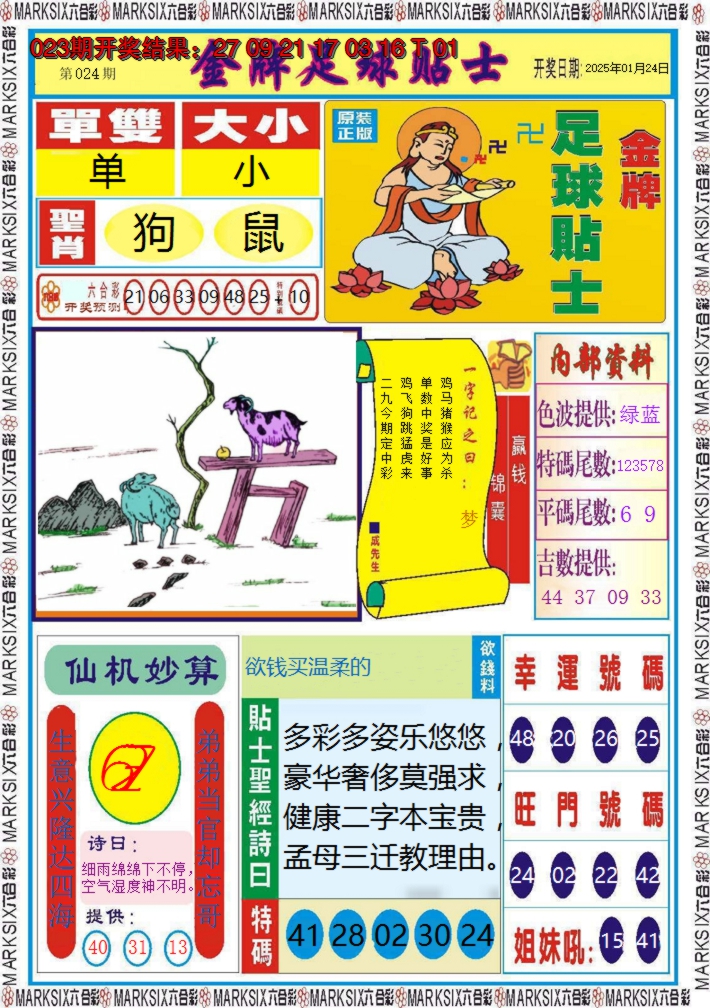 2025024期金牌足球贴士