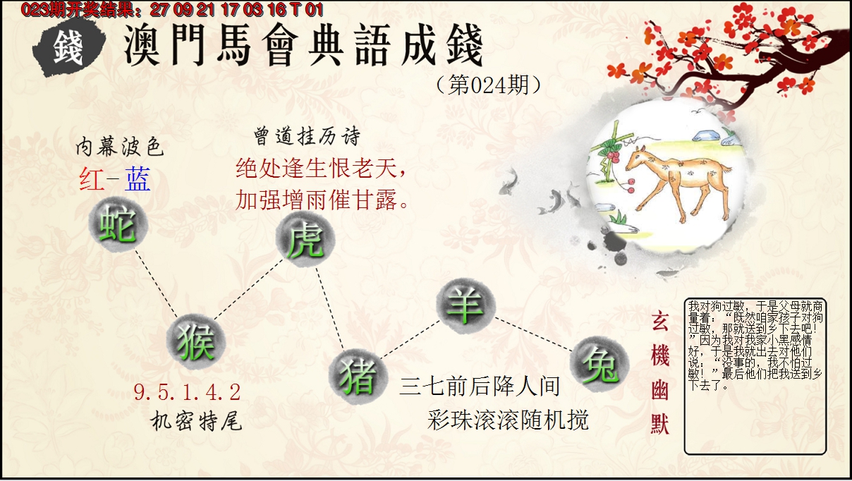 2025024期典语成钱
