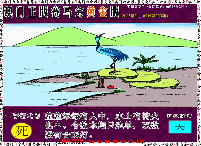 2025009期赛马会黄金版