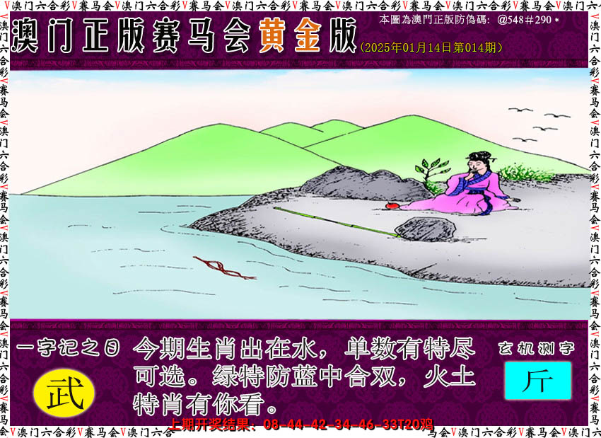 2025014期赛马会黄金版