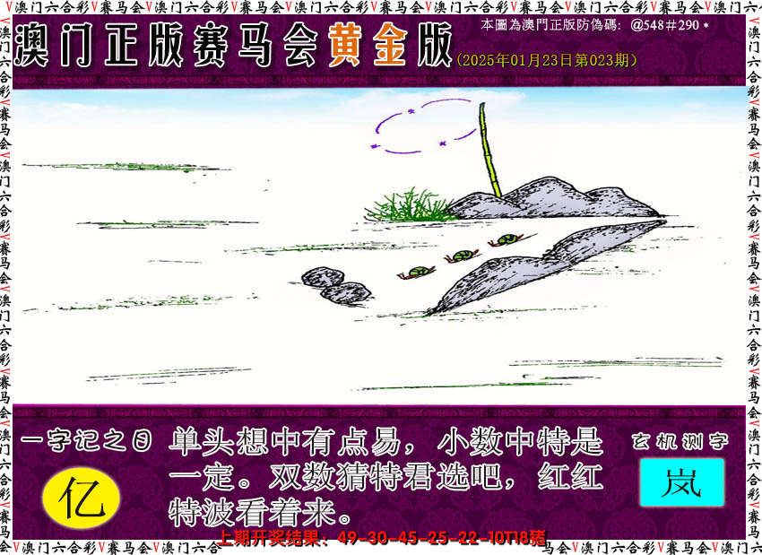 2025023期赛马会黄金版