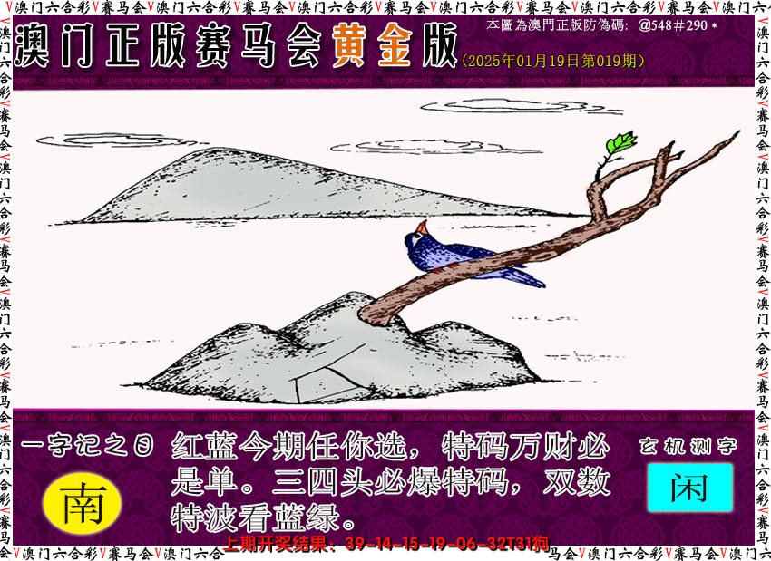 2025019期赛马会黄金版