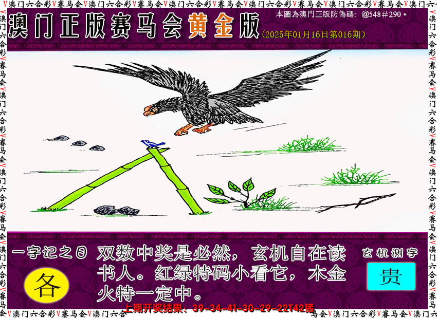 2025016期赛马会黄金版