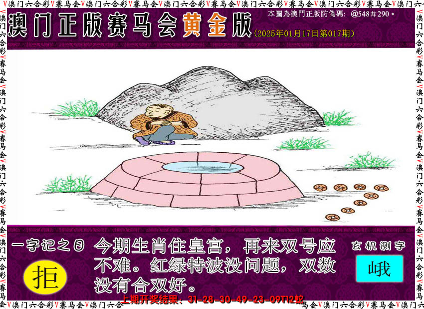 2025017期赛马会黄金版
