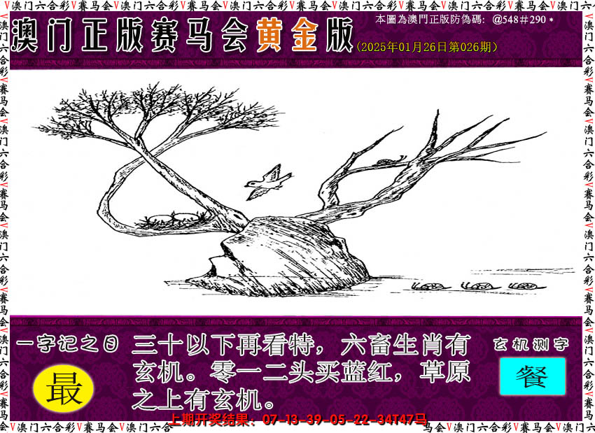 2025026期赛马会黄金版