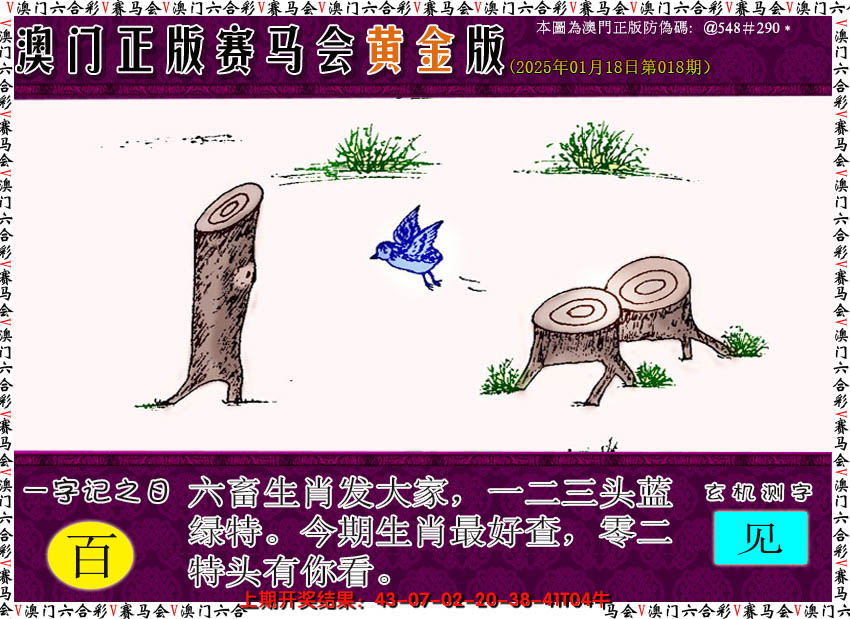 2025018期赛马会黄金版