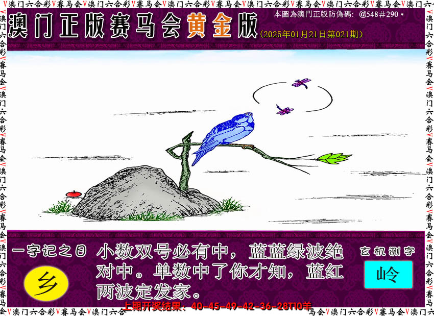 2025021期赛马会黄金版